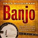 Terry Baucom - Knee Deep in Bluegrass