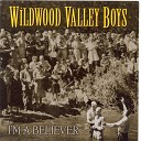 Wildwood Valley Boys - I Found A Friend