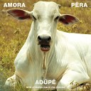 Amora P ra feat Pedro Rocha Nana Carneiro da Cunha… - Playground