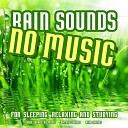 Rain Sounds No Music Nature Sounds Rain… - Becalming Colors