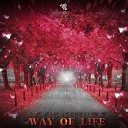 Soul Shine - Way of Life (Original Mix)