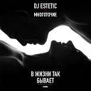 DJ Estetic МНОГОТОЧИЕ - В жизни так бывает Remix