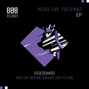 Goddard - Acid Or Techno Original Mix
