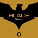 Blade dnb - Blackbird