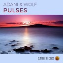 Adani Wolf - Pulses Original Mix