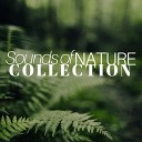 Nature Sounds Machine - Natural Remedies