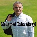 Mehemed Taha Akreyi - Kurdistanek N Div