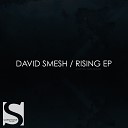 David Smesh - Reprise