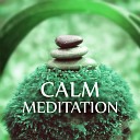 Om Meditation Music Academy Chakra Meditation Music… - White Noise Deep Sleep