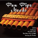 Pan Pipes - Unchained Melody
