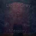 Liquid Grey - Fever from the Skies