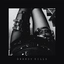 Brandy Kills - Hallow Ship