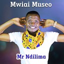 Mr Ndilima - Taiya