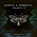 Astrix Domestic - Solaris II