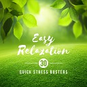Anti Stress Music Zone - Natural Stress Relief