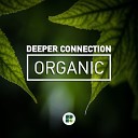 Deeper Connection - Organic Original Mix