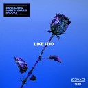 David Guetta Martin Garrix Brooks - Like I Do Lodvaid Remix