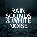Rain Sounds White Noise - Relaxed Emotions Rain Sounds Zen Meditation Original…