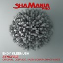 Endy Kleemush - Synopsis Original Mix