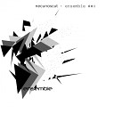 Necunoscut - Ensemble 1 2 Original Mix