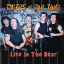 Tygers Of Pan Tang - Rock N Roll Man