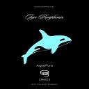 Igor Pumphonia - Aqua Pure Original Mix