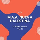 M A A Nueva Palestina - Manto de Elias