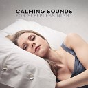 Sound Therapy Masters Relaxing Music Therapy - Deepest Dreams