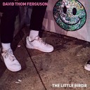David Thom Ferguson - The Danger s Dozens