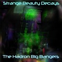 The Hadron Big Bangers - Invocation Cats