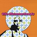 The Hammerheads - Liquid Sunshine