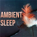 Deep Sleep Maestro - Piano Music