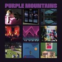 Purple Mountains - Snow Is Falling in Manhattan