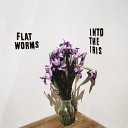 Flat Worms - Surreal New Year