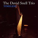 The David Snell Trio David Snell feat Arthur Watts John… - Stella by Starlight