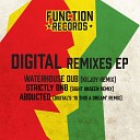 Digital Kiljoy - Waterhouse Dub Kiljoy Remix