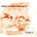Roomnoise Project - X Periment 2 0 Original Mix