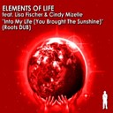 Elements of Life feat Lisa Fischer Cindy… - Into My Life Dub Instrumental Mix
