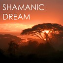 Shamanic Music Tribe - Call of the Wild
