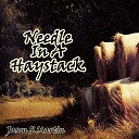 Jason R Martin - Needle in a Haystack