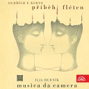 Prague Chamber Soloists Eduard Fischer - Musica da camera for Strings Allegro…