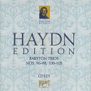 JOSEPH HAYDN - Baryton Trio No 96 in B minor II Allegro