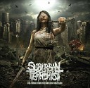Suburban Terrorist - In the Night of Shadow s Bruta