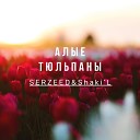serzeed Shaki L - Алые тюльпаны