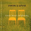 Shahin Sepehr - The Last Goodbye
