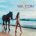 Malcom XL feat Fusionist - Seconds of Harmony Groovy Jazz n Chill Mix