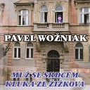 Pavel Wožniak feat. Jindřich Vobořil - Hotel California
