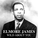 Elmore James - Happy Home