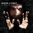 Birds Of Prey - The owl closes in