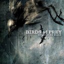 Birds Of Prey - Mangled By Mongoloids Ripped Apart By The…